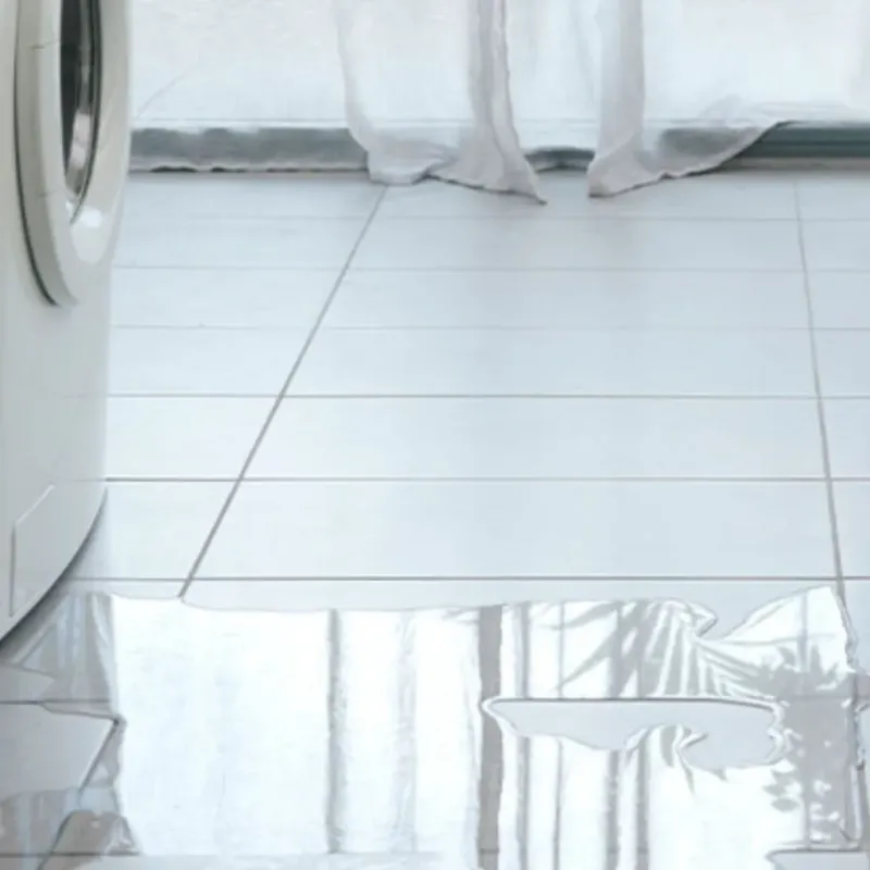 Appliance Leak Cleanup in Union Gap, WA
