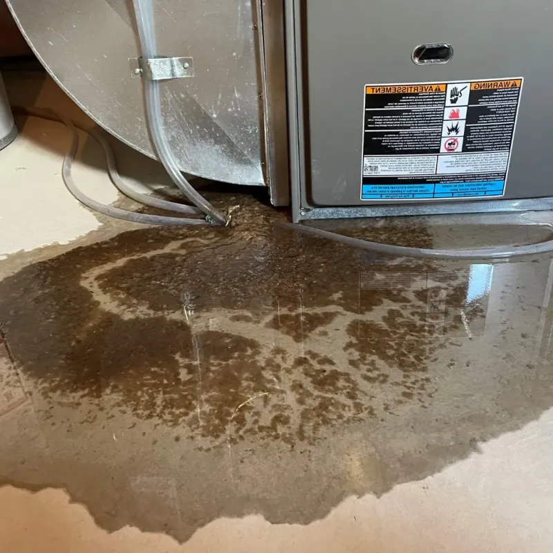 Pipe Burst and Leak Restoration in Union Gap, WA